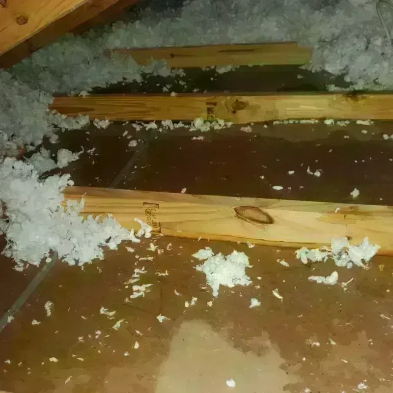 Attic Water Damage in Pike County, MS