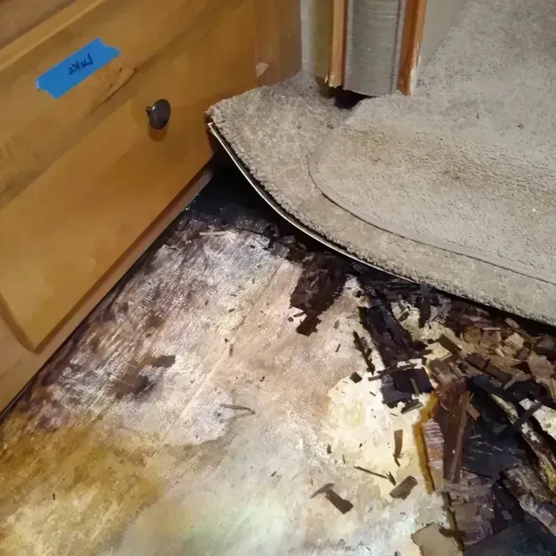 Wood Floor Water Damage in Pike County, MS